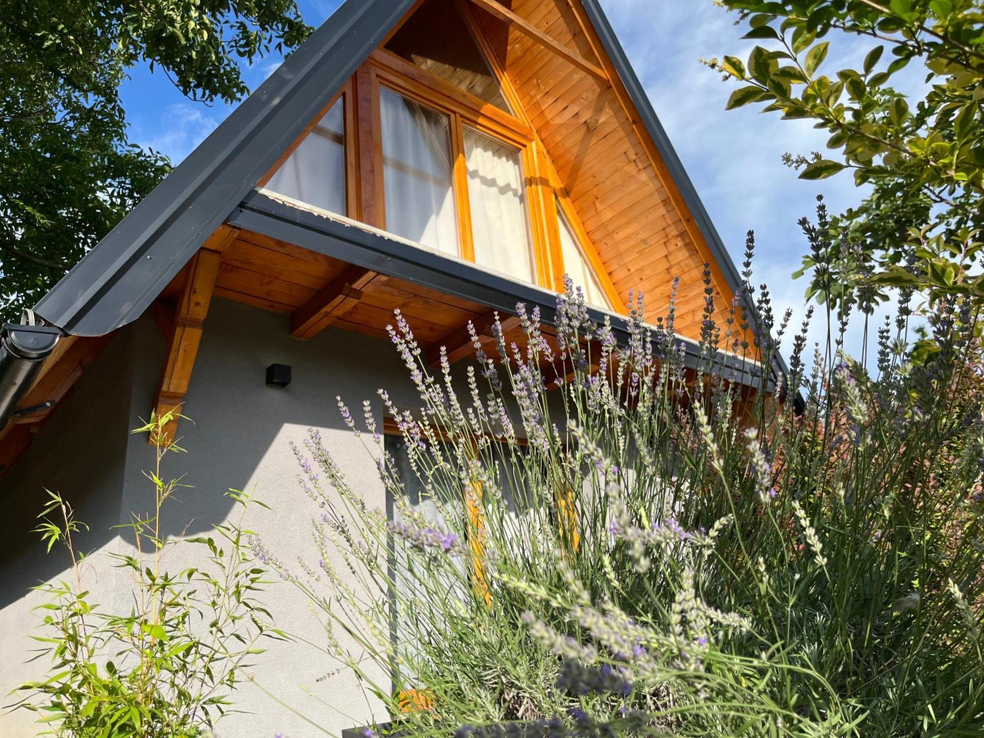 Petrovaradin Chalet Νόβι Σαντ Εξωτερικό φωτογραφία